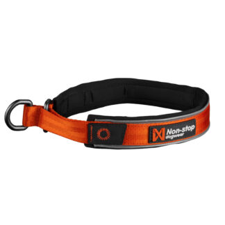 Non-stop dogwear CRUISE Collar orange | 150 | Halsband
| Lauflust.de