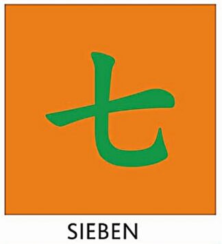 Kung Fu Schärpe Orange mit Chinesischer Bestickung SIEBEN