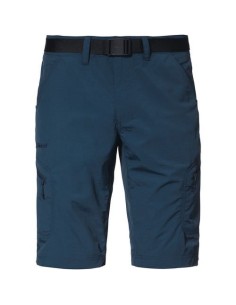 Silvaplana2 Shorts