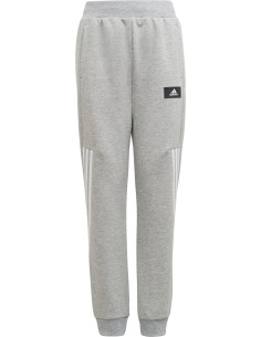 Future Icons 3-Stripes Sporthose