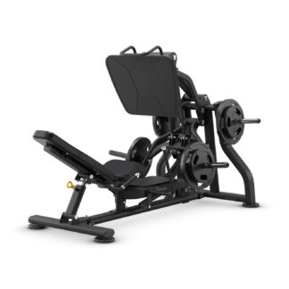 Vision Fitness - Leg Press
