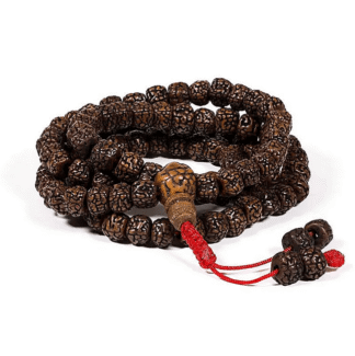Mala Rudraksha 108 Perlen poliert