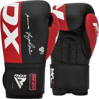 BOXING GLOVES REX F4 - Sport Enzinger