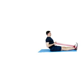 Back and Triceps Routine 1