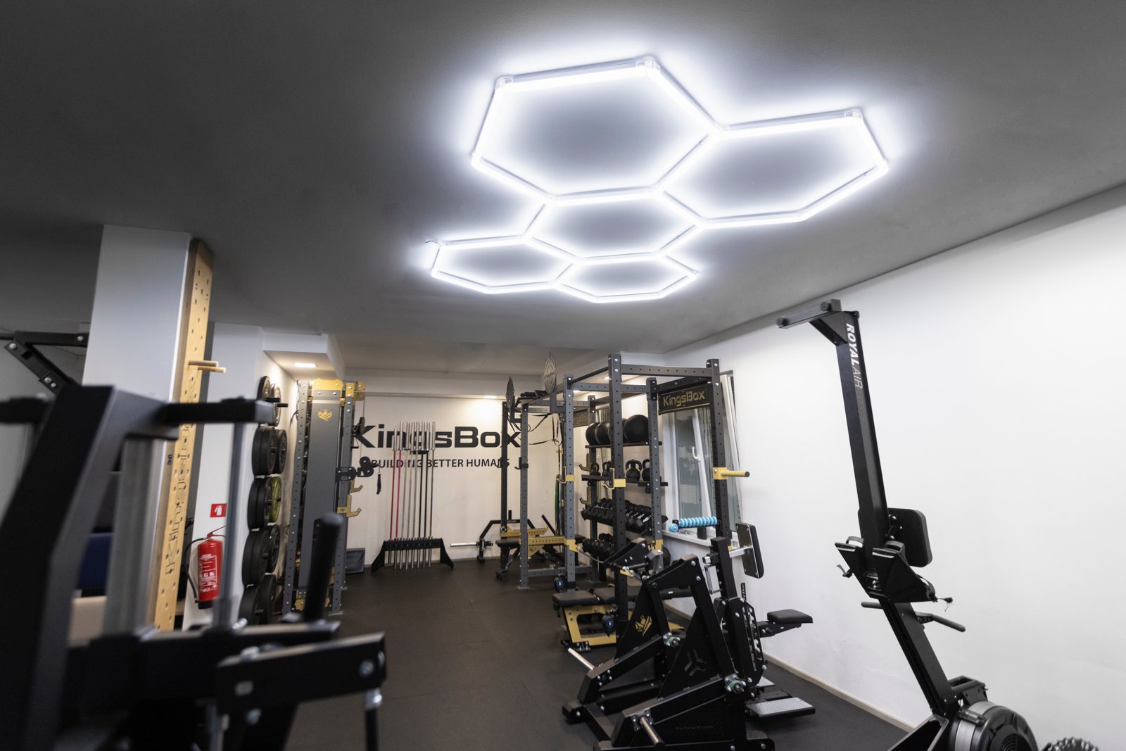 Kingsbox gym led lighting - Image 3