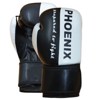 PX Boxhandschuh "Prepared to Fight" PU s/w 16oz