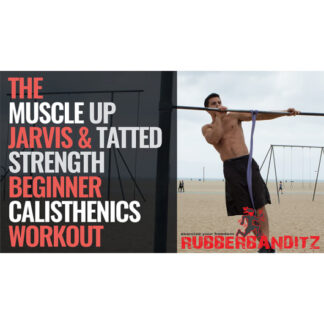 Calisthenics Beginner eBook by @Muscle_up_jarvis WCO Master Trainer