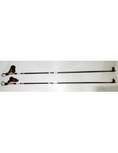 Active Skistock