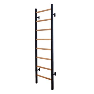 BenchK 200B Sprossenwand - BMS Fitness