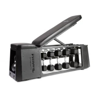 Primal Strength Performance Series Studio HIIT Bench