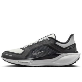 Nike Pegasus 41 GTX Herren Laufschuhe  anthrazit/weiß | Omidis.de