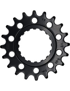 Ritzel