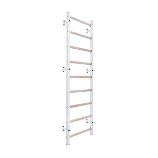 BenchK 700W Sprossenwand - BMS Fitness
