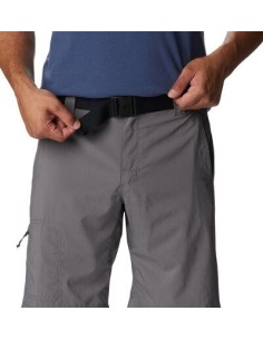 Silver Ridge Shorts