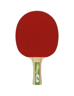 Pro 2000 Tischtennis