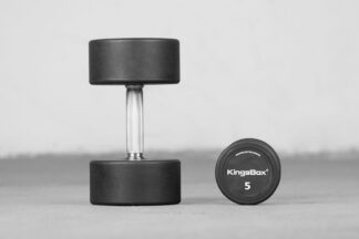 Royal urethane round dumbbells