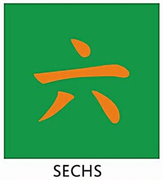 Kung Fu Schärpe Grün mit Chinesischer Bestickung SECHS