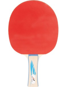 Pro 2000 Tischtennis