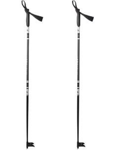 Active Skistock