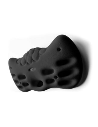 HOLDZ Fingerboard 1
