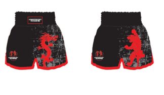 Kampfsport-Akademie Thai Shorts L, sublimiert, Preis auf Anfrage!