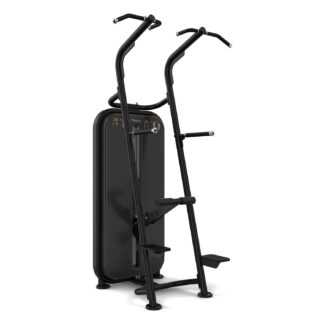 Vision Fitness - Chin/Dip Assist