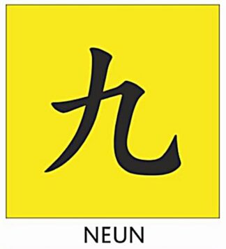 Kung Fu Schärpe Gelb mit Chinesischer Bestickung NEUN
