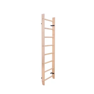 BenchK 100 Sprossenwand - BMS Fitness