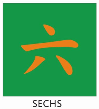 Tetzlaff Kung Fu Schärpe Grün Kinder mit Bestickung SECHS