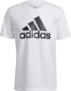 Essentials Big Logo Tee T-Shirt