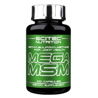 Mega MSM 100 Kaps - Sport Enzinger