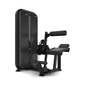 Vision Fitness - Rückenstrecker/Bauchmaschine