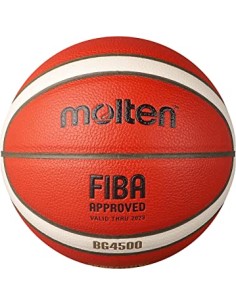 BG4500 Basketball