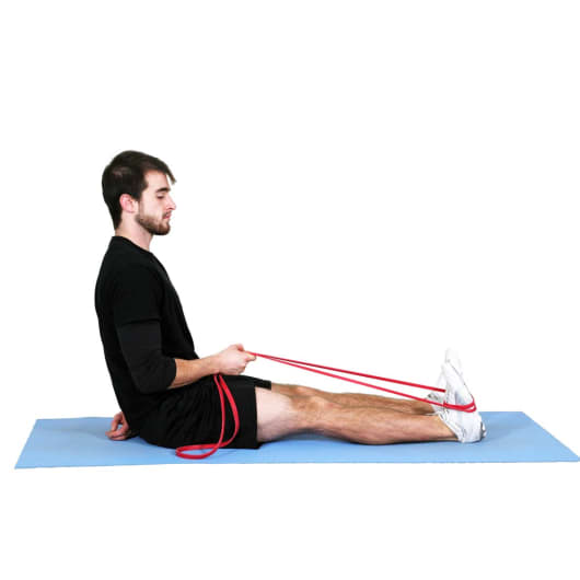 Ankle Motionizer