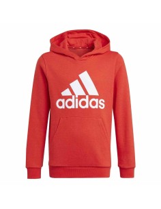 Essentials Big Logo Kapuzenpullover