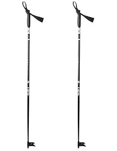 Active Skistock