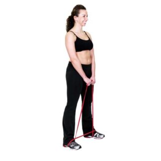 Reverse Curls