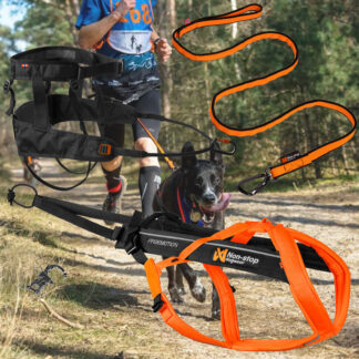 [Paket] Non-stop dogwear CANICROSS SET - Komplett-Set black/orange
| Lauflust.de