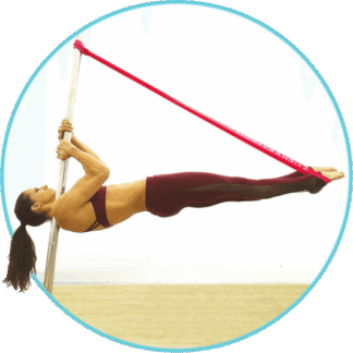 Shoulder Mount on the Pole